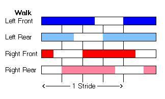 Walk - Hoof-fall Sequence & Timing